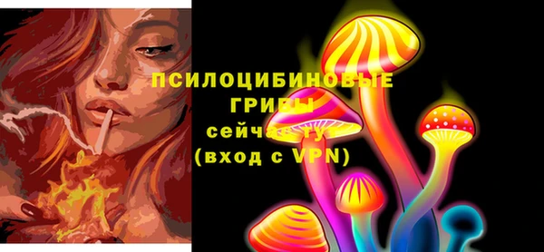 ГАЛЛЮЦИНОГЕННЫЕ ГРИБЫ Армянск