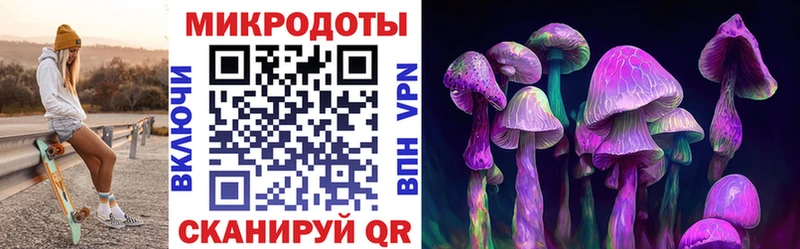 как найти закладки  Сухой Лог  Галлюциногенные грибы Cubensis 